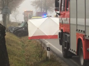 VIDEO: Tragická nehoda u Větrného Jeníkova: Osmnáctiletý řidič nepřežil náraz do stromu