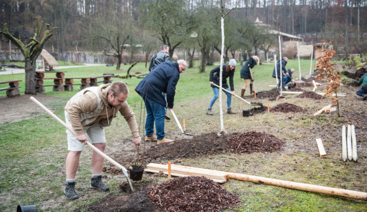 Zvířata z jihlavské zoo si smlsnou na stromech od Cityparku