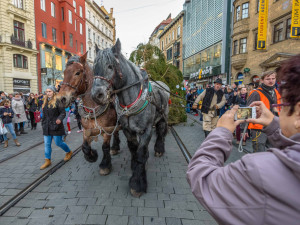 Michal Ruzicka / www.michalruzicka.com