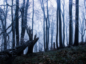 POČASÍ NA STŘEDU: Přes den teploty nad nulou. Obloha bude polojasná