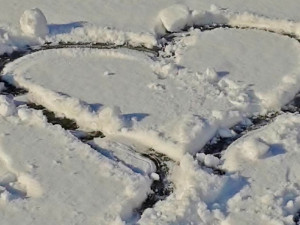 POČASÍ NA PÁTEK: Ani dnes si neodpočineme od sněžení. Teploty kolem nuly