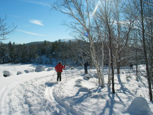 LYŽOVÁNÍ NA VYSOČINĚ: Nový sníh pomohl běžkařům. Znovu je upraveno několik tras