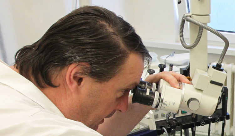 Jihlavská ORL ambulance zavádí nový objednací systém. Začne platit od února