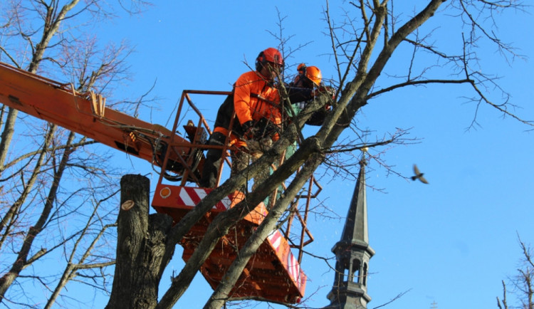 Na Masarykově náměstí ubyly tři lípy. Dvě z nich byly staré přes sto let