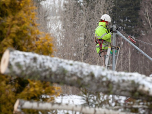 Kvůli silnému větru byl na Vysočině vyhlášen kalamitní stav. Tisíce lidí se ocitly bez proudu