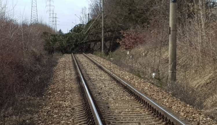 Spadlý strom na železnici u jihlavského Bosche