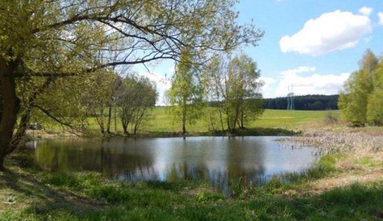 Vysočina má novou přírodní památku. Je domovem ohrožených čolků a skokanů