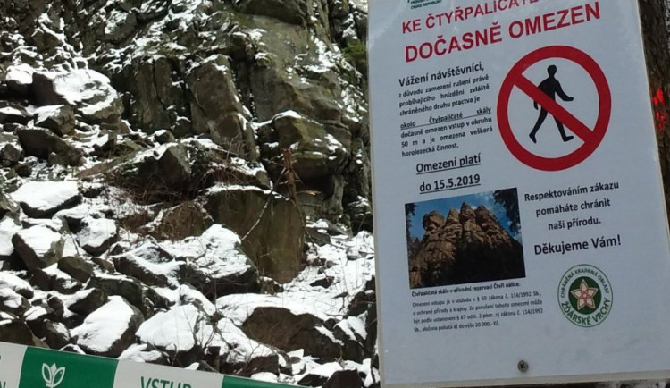 Ve Ždárských vrších nesmí turisté rušit hnízdící krkavce