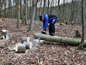 Na Vysočině se v loňském roce kvůli kůrovci zdvojnásobila těžba dřeva