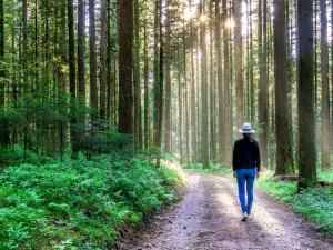 POČASÍ NA ÚTERÝ: Meteorologové slibují jasnou oblohu. Na teploměru patnáct stupňů