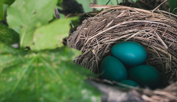 POČASÍ NA VÍKEND: Bíla sobota určitě bílá nebude