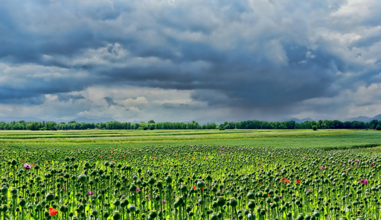 POČASÍ NA VÍKEND: Teploty spadnou o více než deset stupňů