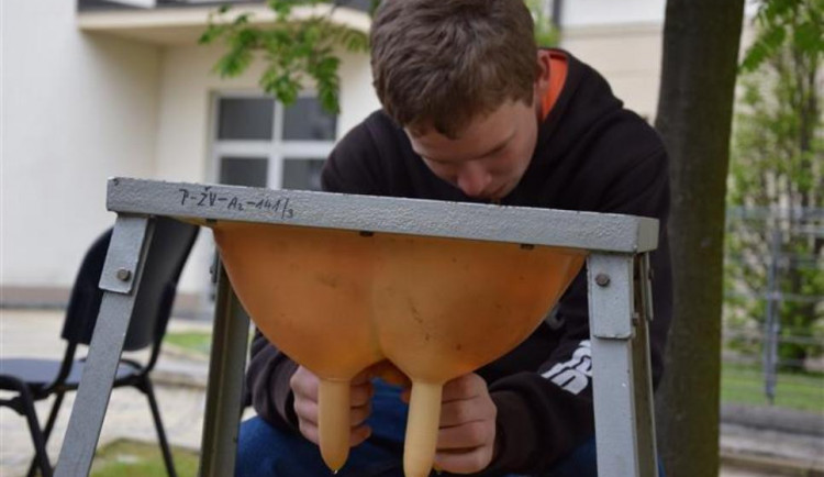 Soutěž pro děti ze ZŠ: O zemědělství a lesnictví toho nejvíc víc děti z Pelhřimovska