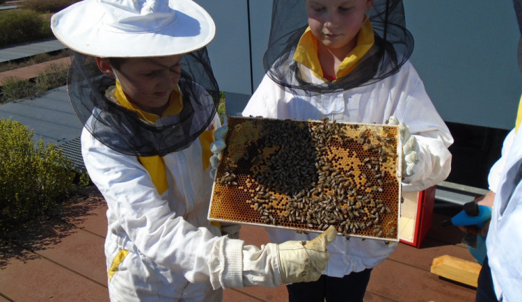 FOTO: Střecha jihlavského Cityparku opět bzučí