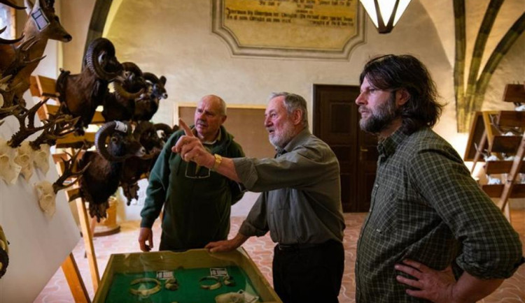 Jihlavská radnice opět láká na výstavu trofejí. Na dotazy zodpoví přítomní myslivci