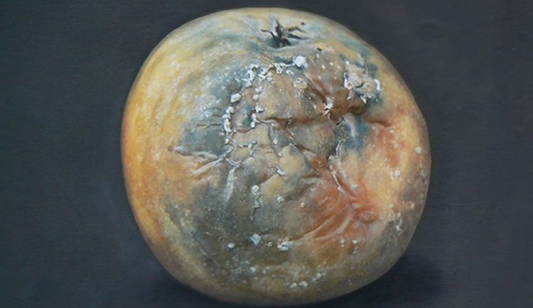 Alšova jihočeská galerie zve na výstavy a muzejní noc