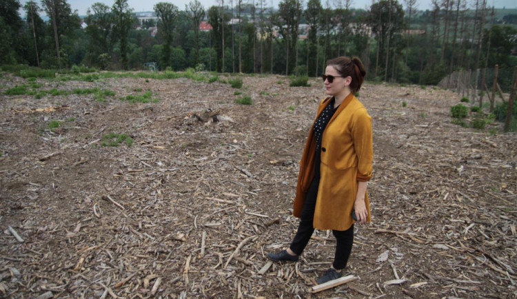 Primátorka Jihlavy Karolína Koubová během prohlídky městských lesů