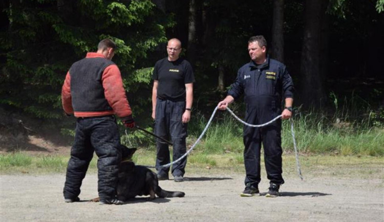 Policisté z Vysočiny školí kynology ze Zakarpatí. Již potřetí za sebou