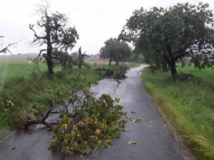 FOTO: Vysočinou se opět prohnala bouřka. Za dvě hodiny mají hasiči přes dvacet výjezdů