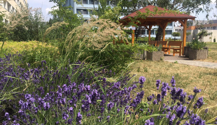 Pacienti nemocnice mohou odpočívat nebo hrát karty v novém altánu. Vyrobili ho studenti