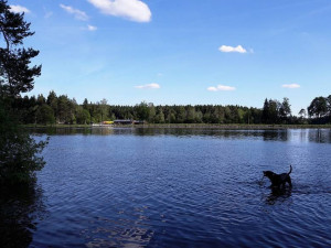 KOUPÁNÍ NA VYSOČINĚ: Pořád platí zákaz pro rybník Kachlička. Má nebezpečnou vodu