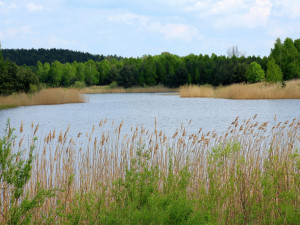 KOUPÁNÍ NA VYSOČINĚ: Kachlička je pořád zakázaná. Někde se naopak voda mírně zlepšila