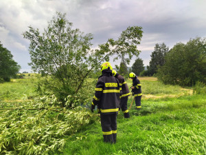 V prvním pololetí v kraji přibylo požárů, zemřel při nich jeden člověk. Ubylo planých poplachů