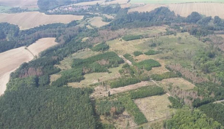 Kůrovcová kalamita na Vysočině z ptačí perspektivy. Užitečné lety hradí ministerstvo