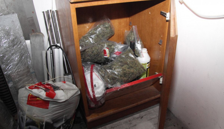 Zadržená marihuana během domovní prohlídky