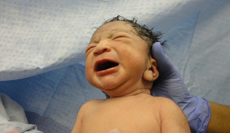 V jihlavské nemocnici se letos narodila skoro tisícovka dětí. Přibylo jí další ocenění