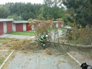 FOTO: Popadané stromy, lidé bez proudu, problémy v dopravě. Vysočinu celý den trápil silný vítr