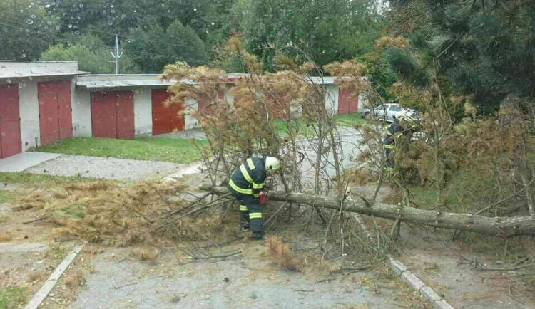 Popadané stromy, lidé bez proudu, problémy v dopravě. Vysočinu celý den trápil silný vítr