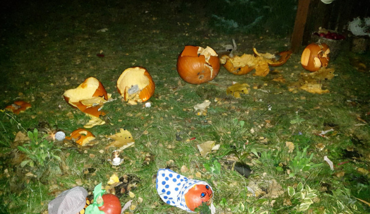 Výstava po řádění vandalů