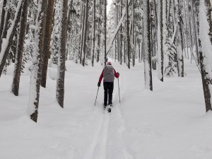 Obce na Novoměstsku plánují v zimě upravovat až 150 kilometrů běžeckých stop