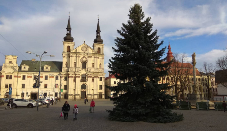 Na jihlavském Masarykově náměstí už stojí vánoční strom. Rozzáří se  1. prosince