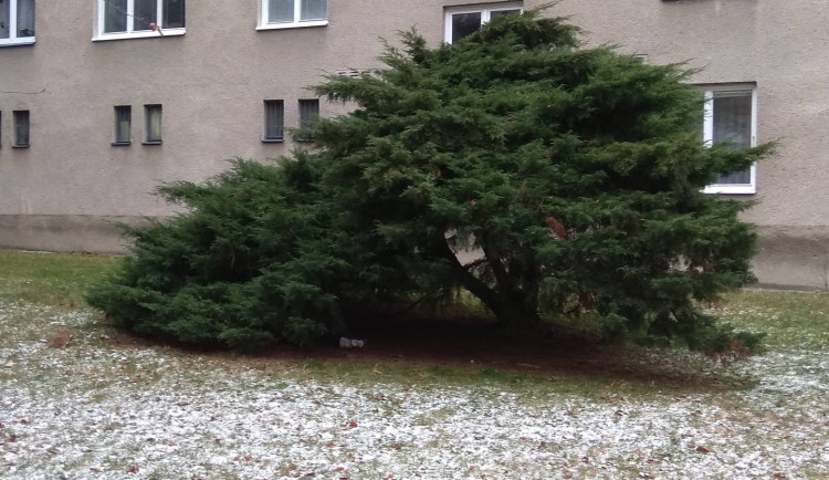 Místo, kde se bezdomovci často zdržují