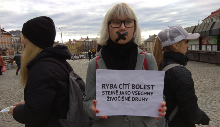 Na jihlavském náměstí se tiše protestovalo proti zabíjení kaprů na Vánoce