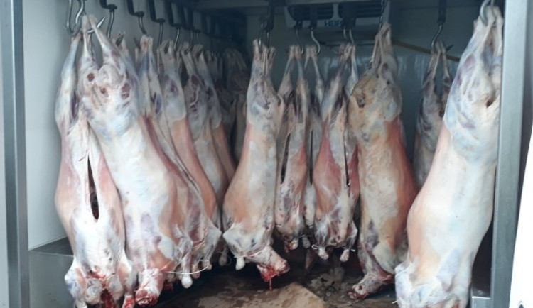 Odporný smrad se linul z rakouské dodávky. Turci v ní z Brna do Prahy převáželi půl tuny skopového