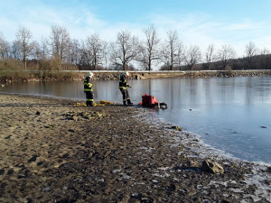 81307583_2685293814857054_6570693114065846272_n