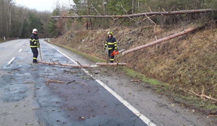 Problémy v dopravě a domácnosti bez elektřiny. Vysočinu stále trápí silný vítr