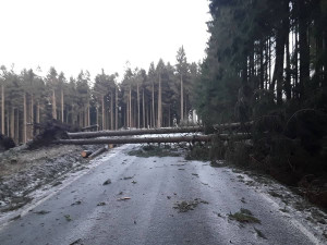 Orkán Sabine, 11. února 2020