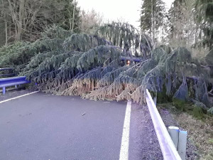 Orkán Sabine, 11. února 2020