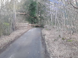 Orkán Sabine, 11. února 2020