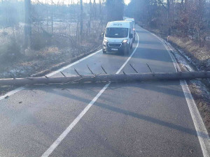 Orkán Sabine, 11. února 2020