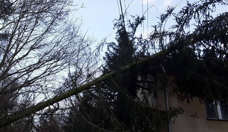 Orkán Sabine, 11. února 2020