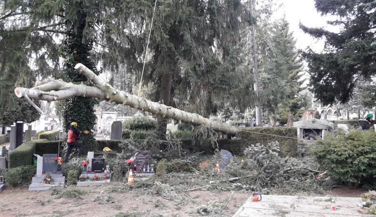 V Jihlavě začali sčítat škody po orkánu. Na ústředním hřbitově se uklízí 