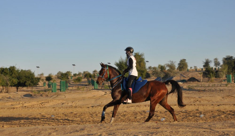 Anna Buštová na koni. Autor: Jaroslav Pojsl