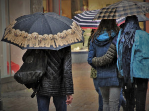 POČASÍ NA PÁTEK: Může pršet nebo sněžit. Místy dávejte pozor na silnější vítr