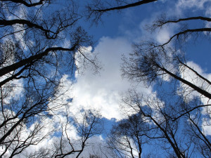POČASÍ NA SOBOTU: Počítejme i s polojasnou oblohou. Teploty půjdou dolů