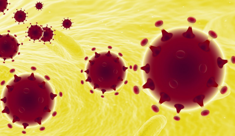 Olomoucký kraj má osmý potvrzený případ nákazy koronavirem